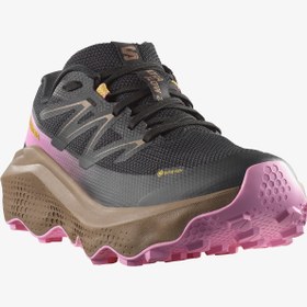 Resim Salomon Ultra Flow 2 Gtx Kadın Outdoor Koşu Ayakkabısı L47884400 Siyah 