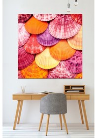Resim Renli Deniz Kabukları Kanvas Tablo 80 x 80 