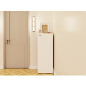 Resim 1 Kapaklı Çok Amaçlı Amalfi Beyaz Renk Dolap Kahverengi - Beyaz 