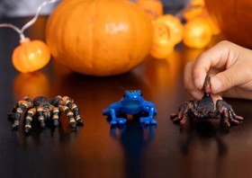 Resim Schleich Zehirli Dart Kurbağası 14864 