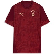 Resim GALATASARAY Erkek Kısa Kollu Antrenman Forması 
