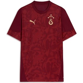 Resim GALATASARAY Erkek Kısa Kollu Antrenman Forması 