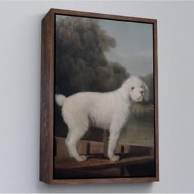 Resim Ahşap Çerçeveli George Stubbs Beyaz Kaniş Tablo 55x75 cm Kahverengi, TTÇ.KNV8034FRM 