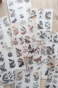 Resim 15 Adet Eskitme Vintage Kitap Kelebek Temalı Scrapbook Kağıt Seti Bullet Journal Dekupaj Kağıdı 