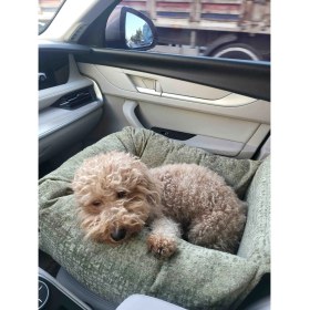 Resim Araç Içi Evcil Hayvan Kedi Köpek Seyehat Yatağı 