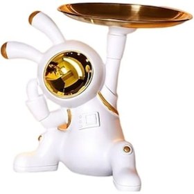 Resim Lijinxu Dekoratif Tepsi Uzay Tavşan Şekli Dekorasyon Hediyeleri 