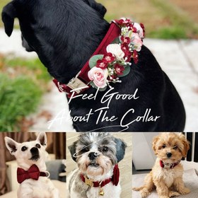 Resim Dog Collar Named Claret Red Velvet Collar 492893 - 5pcs set / XL 