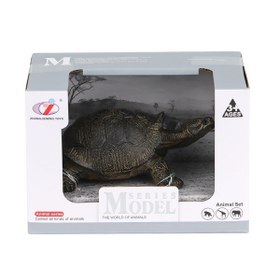 Resim Kaplumbağa Ailesi 