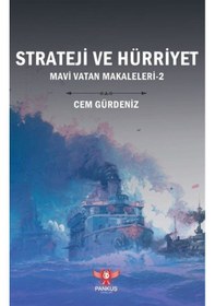 Resim Strateji Ve Hürriyet / Mavi Vatan Makaleleri 2 / Cem Gürdeniz 