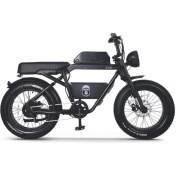 Resim Ape Ryder A10 Iki Kişilik Elektrikli Bisiklet Siyah 