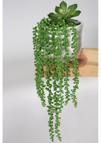 Resim Beton Saksıda Succulentli Sarkan Tesbih Çiçeği 50 Cm Yeşil Yeşil 