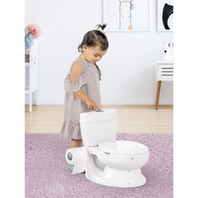 Resim Dolu Oyuncak Eğitici Lazımlık Tuvaletim - Standart / Standart 
