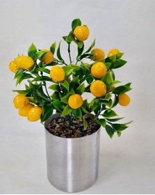 Resim Cihan Çiçekçilik Limon Ağacı Metal Saksıda 35 Cm 