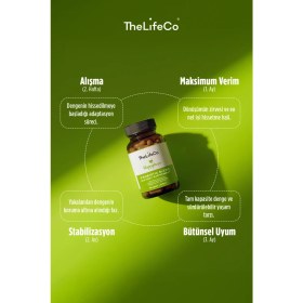 Resim TheLifeCo Happyshape Probiyotik Mikroorganizma İçeren Takviye Edici Gıda x 2 30 Kapsül Vitamin ve Mineral 