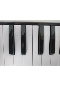 Resim Cremonia Cr32bl Melodika 32 Tuşlu Mavi Renk - Çantalı Çoklu Renk 