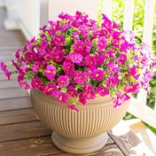 Resim 6-Bouquet Canlı Petunia Çiçekleri - Dış Mekan Dekoru İçin Gerçekçi Sahte Çiçekler, Verandalar, Güverte, Bahçeler ve Mevsimlik Kutlamalar İçin İdeal, Bahar/Yaz Dekoru İçin Mükemmel, Düğünler ve Ev Dekoru İçin İdeal, Kaplama Gerektirmez, Mevsimlik Dekor | Canlı Petunia Çiçekleri | Sahte Çiçekler, Petunia Bitkisi 