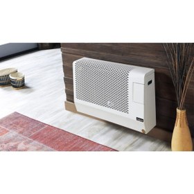 Resim Fujiyama Fhs 5000 K Klasik Hermetik Doğalgaz Sobası 