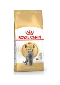 Resim Canin British Shorthair Adult Kedi Maması, 4 Kg 
