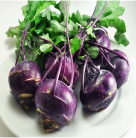 Resim Doğal Mor Kohlrabi Alabaş Tohumu 20 Tohum 