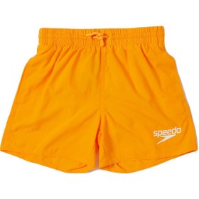 Resim Speedo 8-1241216143 Essential 13'' Wsht Jm Erkek Çocuk Şort Mayo 