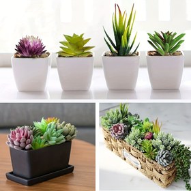 Resim 12 Adet Anoak Yapay Sukulent Bitki Seti - Yüksek Gerçekçi Sahte Sukulentler, Saksısız, DIY El İşleri, Ev, Bahçe, Ofis Dekoru İçin Mükemmel | Yıl Boyu Çok Yönlü Çiçek Düzenlemeleri 