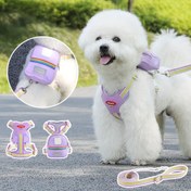 Resim Köpek Gezinti 3 Parça Set, Köpek Tasması ve Yelek, Nefes Alabilen Hafif Kısıtlamayan Güvenlik Tokalı Yürüyüş Yeleği, Yavru Köpekler ve Kediler İçin Uygun 