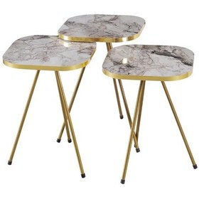 Resim Uslucan Alışveriş Zigon Sehpa Ve Orta Sehpa Kombin Set Altın Efes 3101 Çok Renkli 