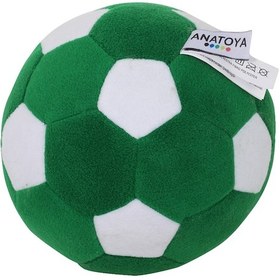 Resim Anatoya Polar Konyaspor Top 