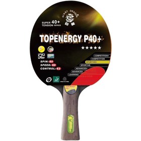 Resim Giant Dragon P40+Masa Tenisi Raketi ITTF Onaylı 