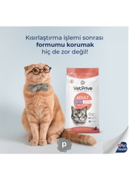 Resim Vet Prive Kısırlaştırılmış Kedi Maması Somonlu 1,5 KG 