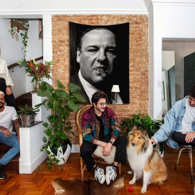 Resim James Gandolfini / Tony Soprano Duvar Örtüsü - 60 cm x 90 cm 