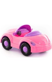 Resim Polesie Araba Veronika 