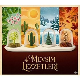 Resim 4 Mevsim Temalı Tasarım Baharatlık Seti - Dekoratif Ağaç Ve Kaktüs Figürlü Standlı Tuzluk B Çok Renkli 