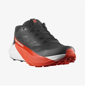 Resim Salomon Pulsar 479754 Çok Renkli 