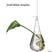 Resim Xindoker Şeffaf Kristal Cam Vazo - Dekoratif Süs Ve Hidroponik Yetiştiricilik İçin 8cm 