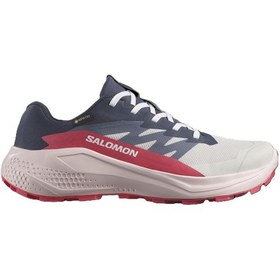 Resim Salomon Alphaglıde Gore-tex Kadın Ayakkabısı L47802300 Çok Renkli 