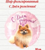 Resim Mixadrozd Balonla Doğum Günü 327501860 PEMBE 