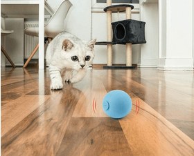 Resim Paw Portal Sesli Top Kedi Oyuncağı 