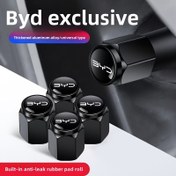 Resim BYD Lastik Valfi Kapağı S6S2S7M6G3L3F3R G5G6F0 Speedy Emme Vanası Çekirdeği Araba Aksesuarları için Uygun 