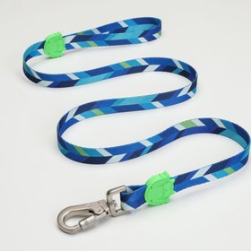 Resim Lindo Dogs Blue Dream Köpek Gezdirme Kayışı Mavi/Yeşil Large 