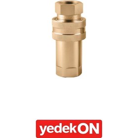 Resim Pirinç Otomatik Rekorlar 