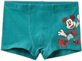Resim Benetton Erkek Çocuk Yeşil Disney Baskılı Boxer 