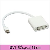 Resim Platoon Ti-mesh Mini Display Port to DVI Kablo - 15CM 