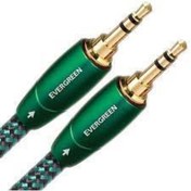 Resim AudioQuest Evergreen Aux Kablo 2 m 3,5 mm 