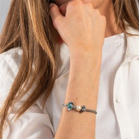 Resim Mavi İris Çiçeği 