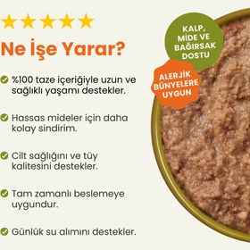 Resim Kuzu Etli Yetişkin Kedi Maması 2 Kg + 8 Adet Kito Fresh Somon Etli %100 Taze İçerikli Mama 