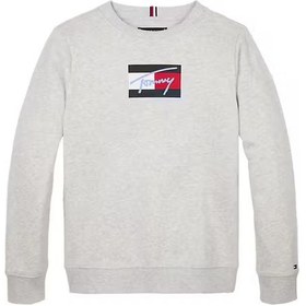Resim Erkek Çocuk Bisiklet Yaka Grafik Baskılı Sweatshirt - Gri Grey Heather 