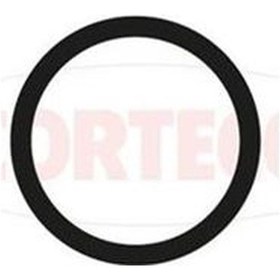 Resim Corteco 49121549 - Termostat Contası Fıat Ducato- Psa Jumper Box 