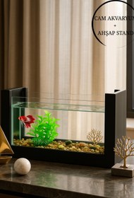 Resim Reyo OK-AY Store Beta Balığı İçin Ahşap Mini Akvaryum Modern Şık Doğal Minimal Tasarım Akvaryum Siyah 