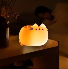 Resim Dekoratif Led Pusheen Kedi Pl-98 Gece Lambası Beyaz 